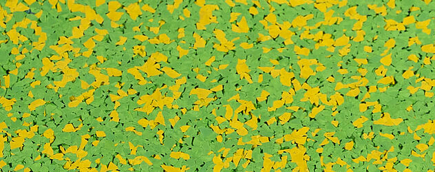 leuchtgelb/leuchtgrün