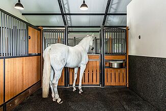 Pferd steht in der Box auf elastischem Bodenbelag