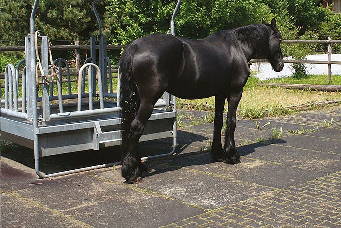 Reiterhof Eulenmühle, Ingelheim Reiterhof Eulenmühle, Ingelheim