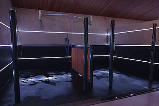 Moderner Pferdewaschplatz mit rutschfestem REGUPOL Pferdeboden – wasserbeständiger, stoßdämpfender Bodenbelag für sichere Wasch- und Pflegebereiche im Pferdestall