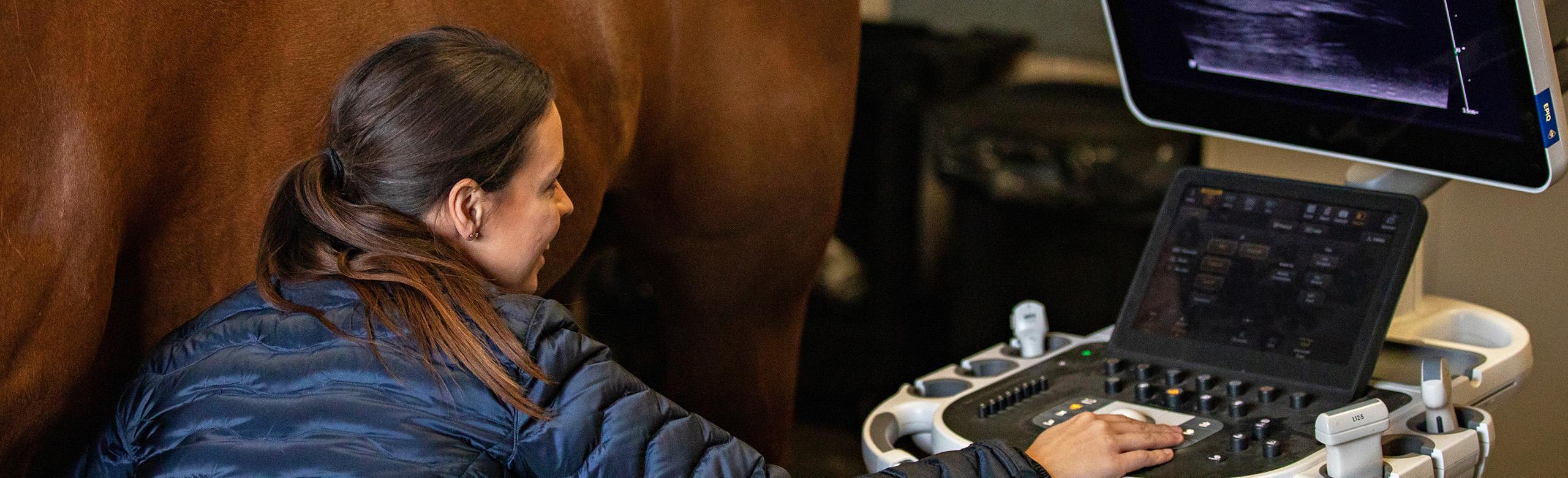 Pferdeklink mit REGUPOL equiline Bodenbelag für Pferde Pferd in einer Pferdeklink auf rutschfestem, langlebigem REGUPOL equiline Bodenbelag für optimale Sicherheit und Hygiene.