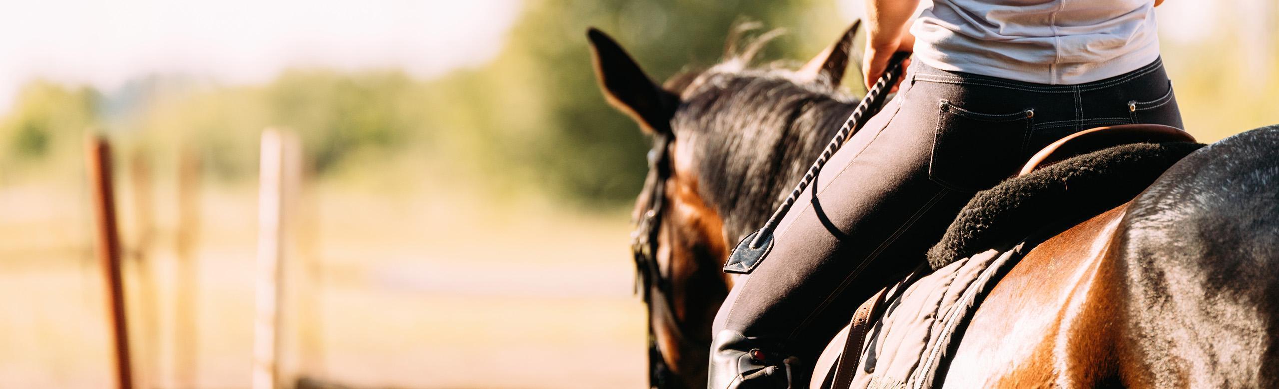 Reiter mit Pferd in einer Führanlage mit REGUPOL equiline