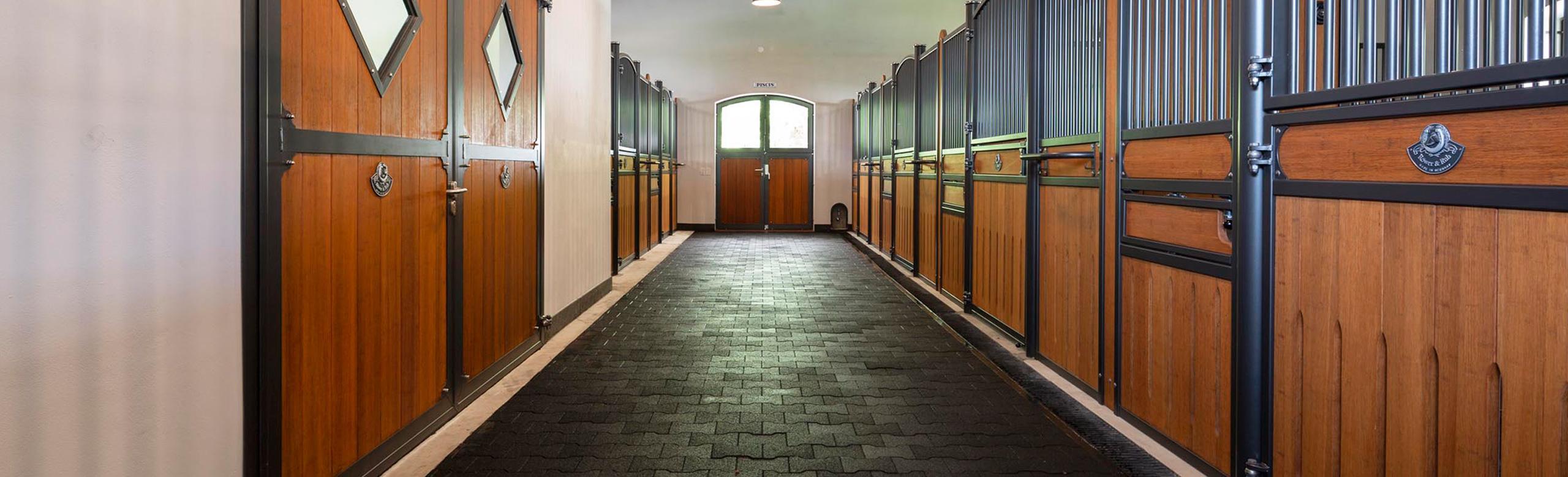 Pferdestall mit Blick in die Stallgasse